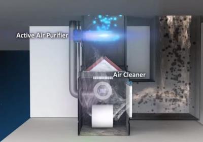 Best Air Purifier To Clean The Air In Your Home