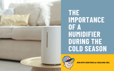 What Is A Humidifier?